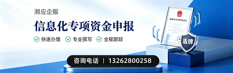 甘肃信息化专项资金申报服务