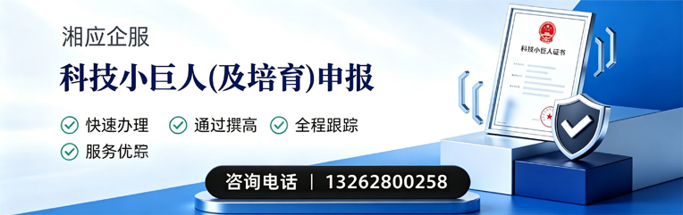 甘肃科技小巨人及培育企业申报服务