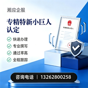 甘肃专精特新小巨人申报服务