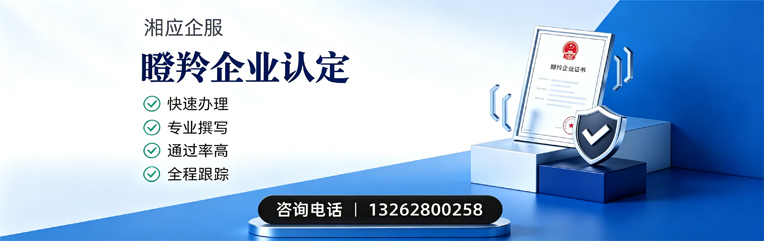 甘肃瞪羚企业认定申报服务