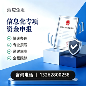 甘肃信息化专项资金申报服务