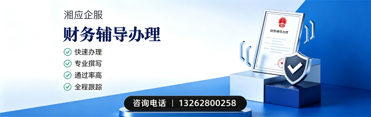 甘肃财务辅导申请服务