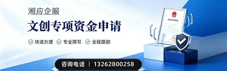 甘肃文创专项资金申报服务