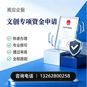 甘肃文创专项资金申报服务